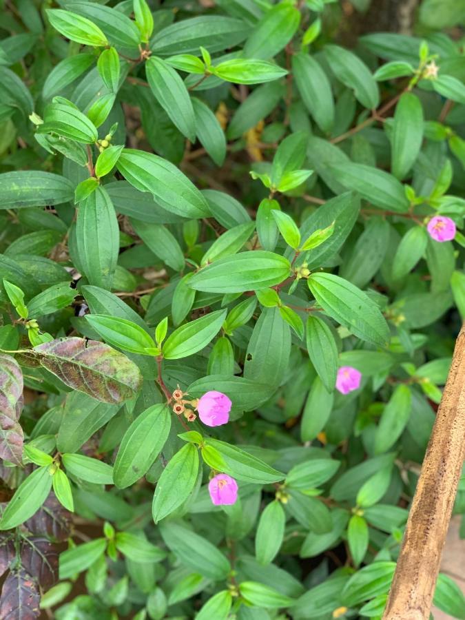Farm stay Nong Trai Thanh Thoi
