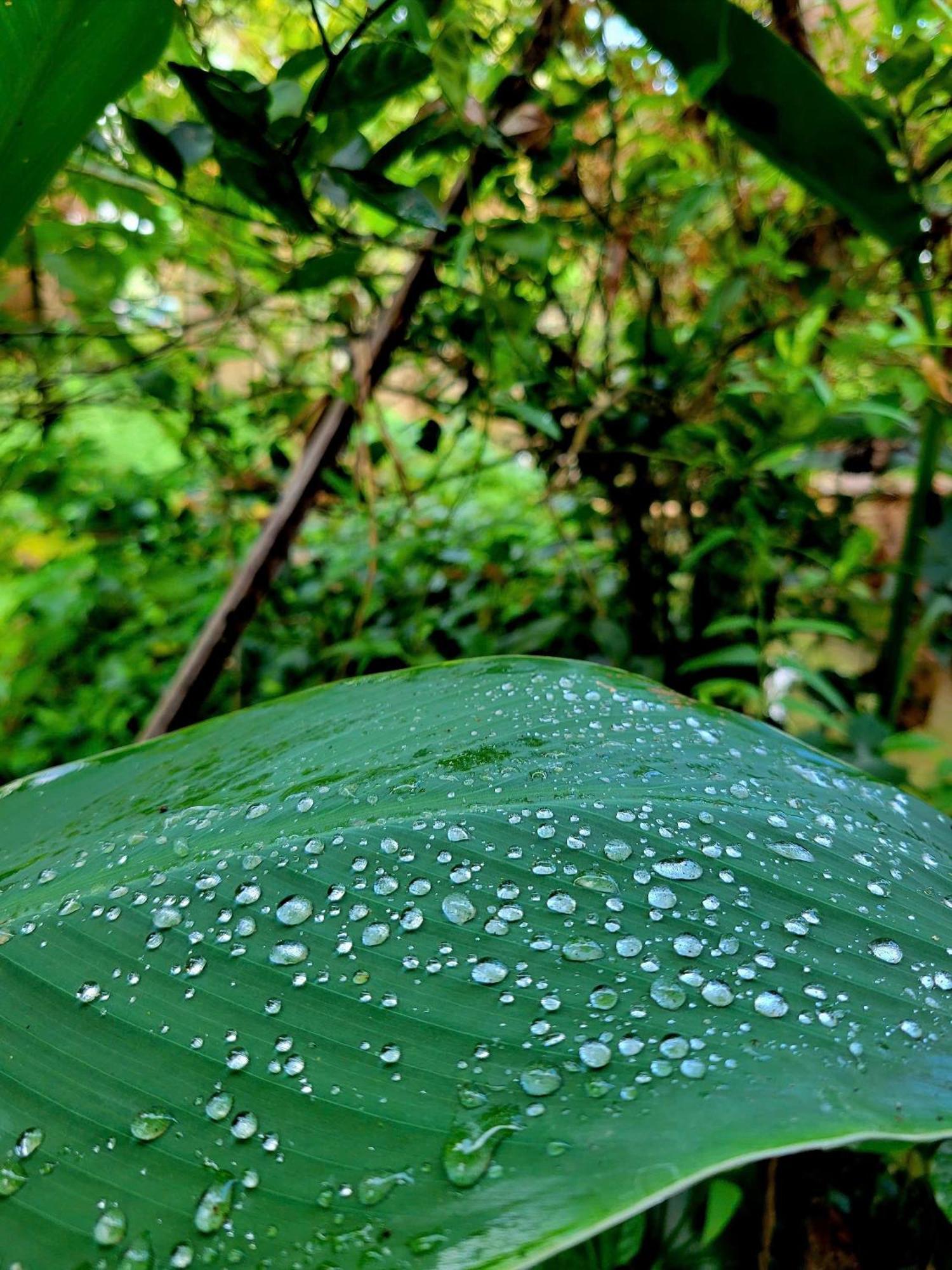 Nong Trai Thanh Thoi Ben Tre