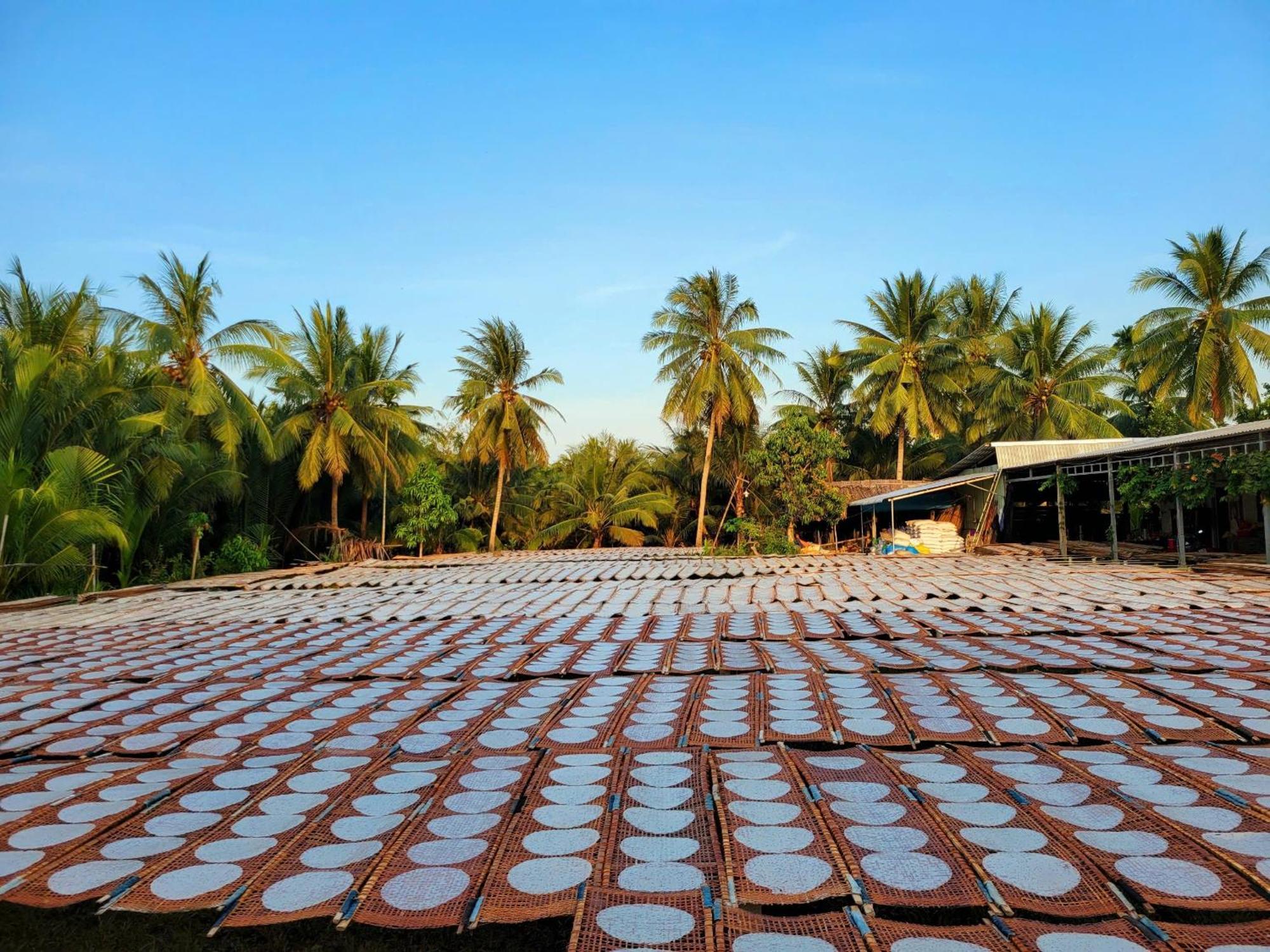 Nong Trai Thanh Thoi Ben Tre